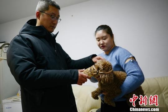 呼和浩特免费发放宠物犬嘴套、牵狗绳 防止伤人