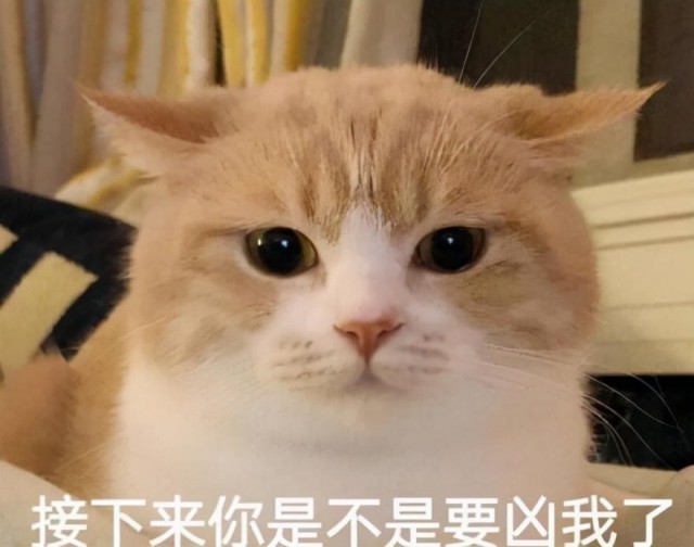 猫咪突然挑食的原因是什么？